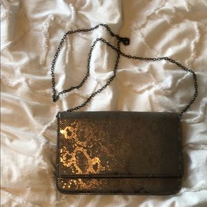 Silver snake skin clutch with black chain